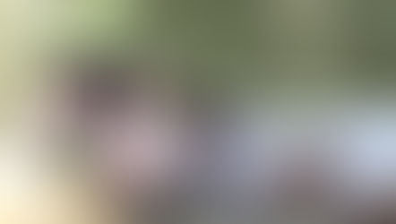 Help Wild Heart feel like one of the herd