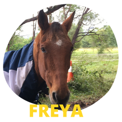 Freya