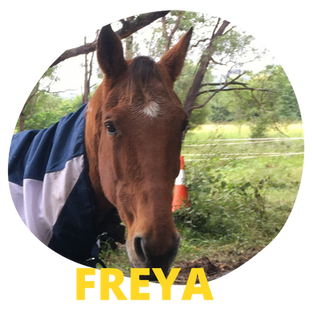 Freya.png