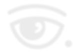 LOGO OEIL_edited.jpg