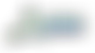 DELIBERATION APPROBATION SCoT