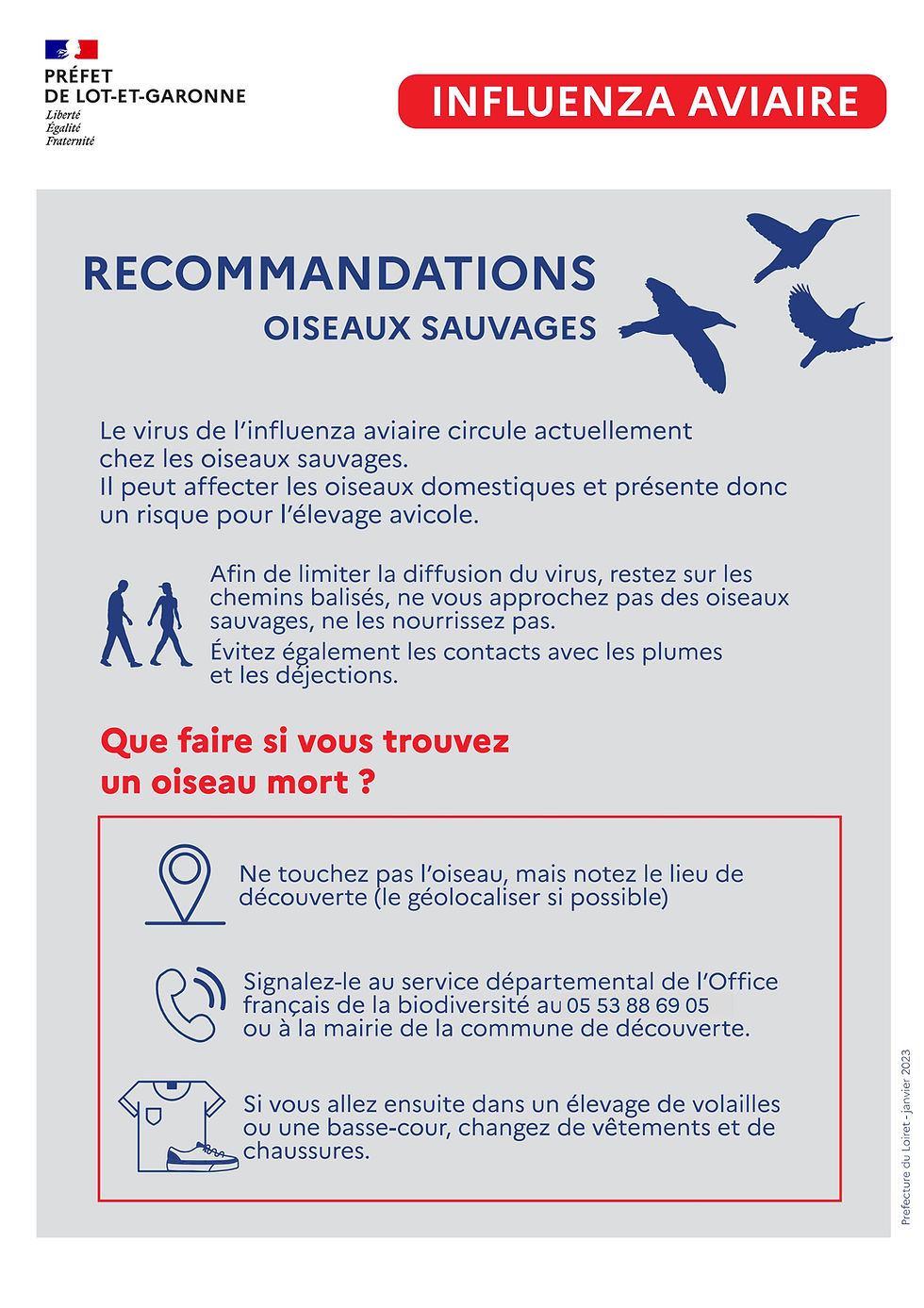 Recommandations face à l'Influenza Aviaire (Grippe Aviaire) !