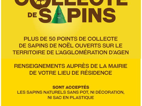 Collecte et broyage des sapins de Noël 