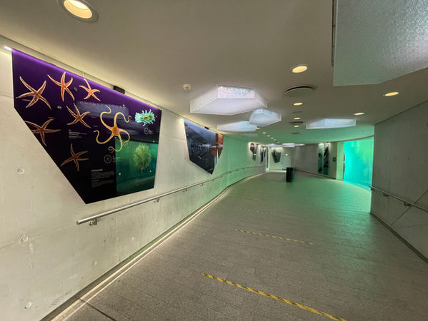 DAR polarhavet 1.jpeg