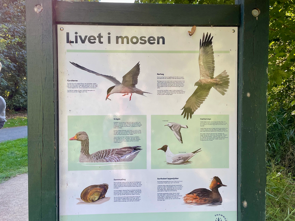 Skærmbillede 2022-12-12 kl. 20.02.39.png