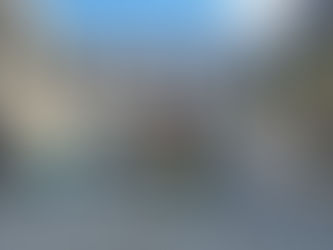 Zeytinin de İnsanın da Özü Baskı Altında Ortaya Çıkar-İnci VURAL