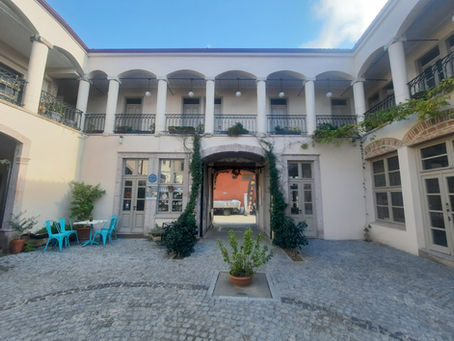 Zeytinin de İnsanın da Özü Baskı Altında Ortaya Çıkar-İnci VURAL