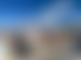 ZEYTİNYAĞINDA TAKLİT VE TAĞŞİŞ-Aydın ŞENSAL-Ayvalık Zeytin Üreticileri Derneği Başkanı