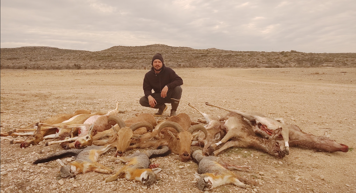 Hunt in Texas on Pandale Ranch