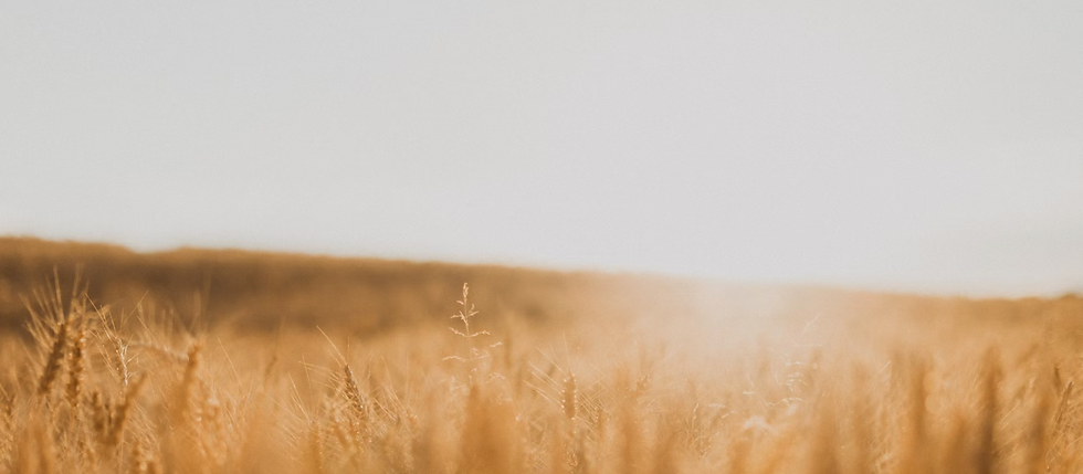 ימי בנימינה