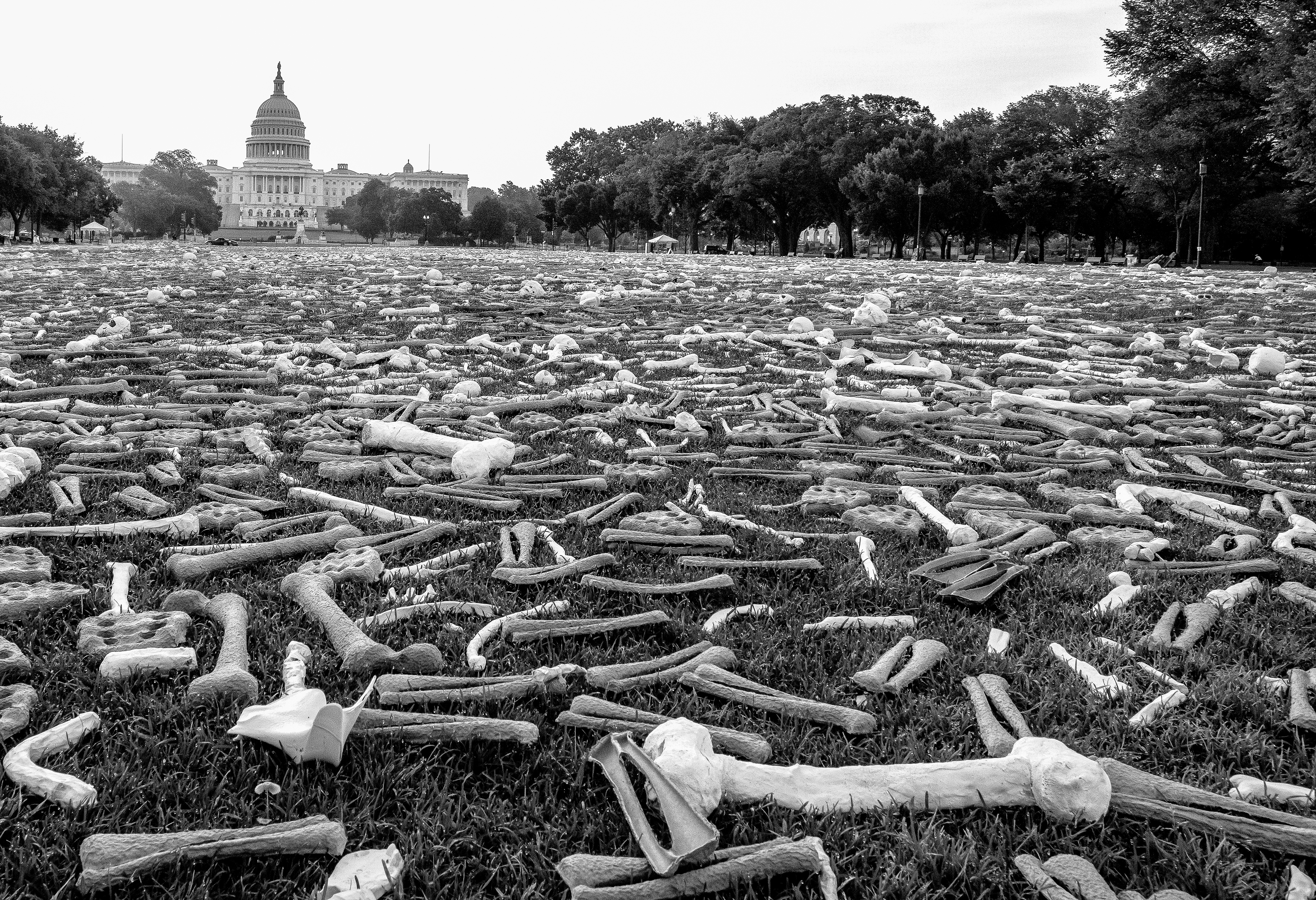 Photojournalism