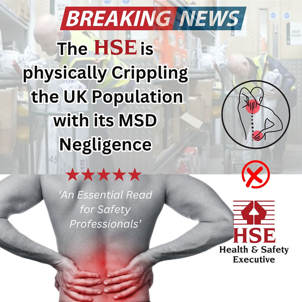 '' Challenging HSE Guidance on Safer Lifting Practice ''