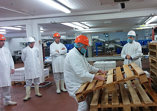 Single operator manual handling lifting of pallets
