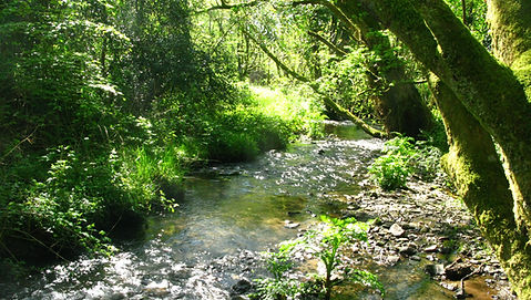 Sunlight dancing on the water