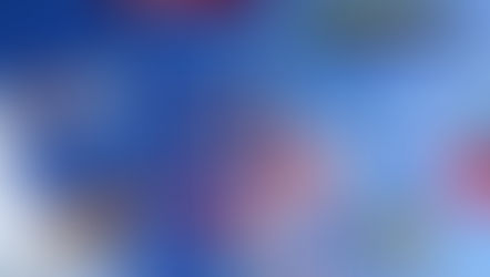 Los nacionalismos en las Redes sociales