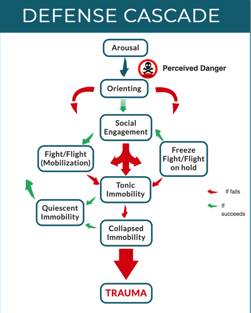 Trauma as a Response of Fear