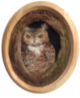 Owl
