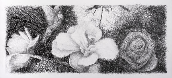 memories of spring/hummingbird