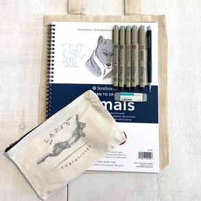 art supply kits to inspire the artist within.