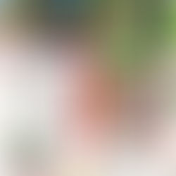 柴又帝釈天さまにての御奉納、随行させて頂きます🙏