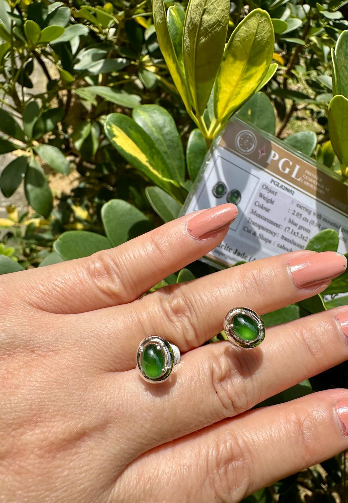 💚✨ Natural Burma Jadeite Earrings ✨💚