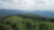 Cabin Heaven Mountain Weddings1.JPG