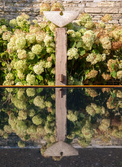 The Mirror Pool Garden