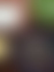 Brazilian Arroz de Carreteiro (Wagon Driver's Rice)