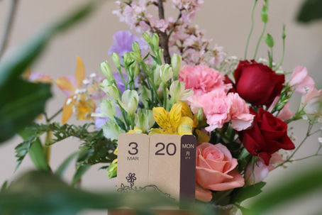 予約状況 :令和5年3月20日 茨木市 心療内科 精神科 漢方