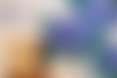 予約状況 :令和5年5月15日 茨木市 心療内科 精神科 漢方