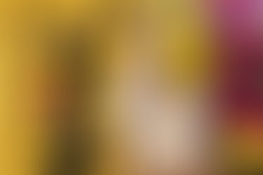 初診状況 : 令和4年10月24日 茨木市 心療内科 精神科 漢方　