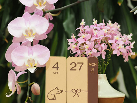 初診予約:令和8年4月27日 茨木市 心療内科 精神科 漢方