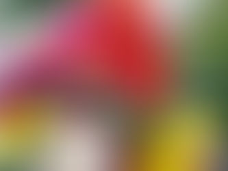 予約状況 :令和5年10月30日 茨木市 心療内科 精神科 漢方