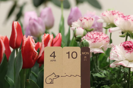 予約状況 :令和5年4月10日 茨木市 心療内科 精神科 漢方