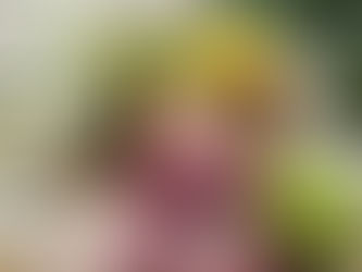 予約状況 :令和6年3月25日 茨木市 心療内科 精神科 漢方