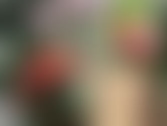 初診予約:令和7年12月1日 茨木市 心療内科 精神科 漢方