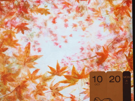 初診予約:令和7年10月20日 茨木市 心療内科 精神科 漢方