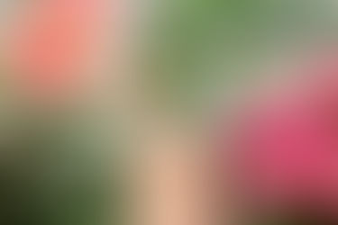 初診状況 : 令和4年11月28日 茨木市 心療内科 精神科 漢方　