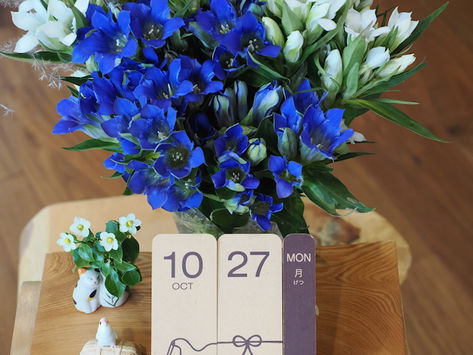 初診予約:令和7年10月27日 茨木市 心療内科 精神科 漢方