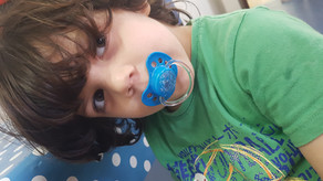 לביא והפלסטר