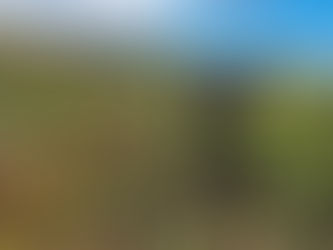 Make the most of May!