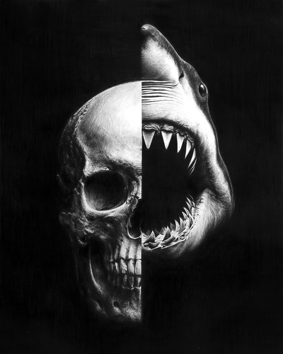 The flow of bones.jpg