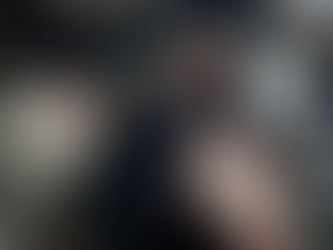 A Quiet Winter of Work, A Spring of Plenty...