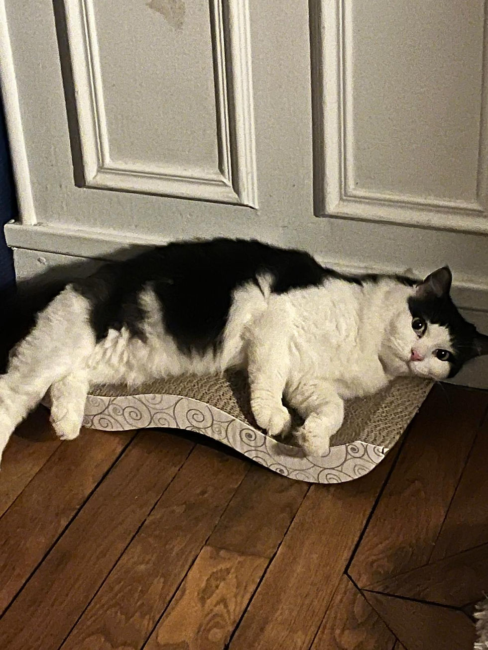Dewey