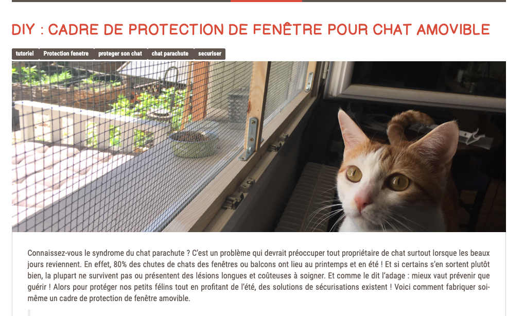 Accueil Ecoleduchatclichy Accueil Ecoleduchatclichy