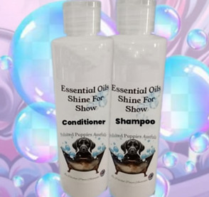 Polished Puppies Shampoo & Conditioner