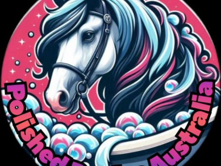 Welcome to Polished Ponies Australia Blog