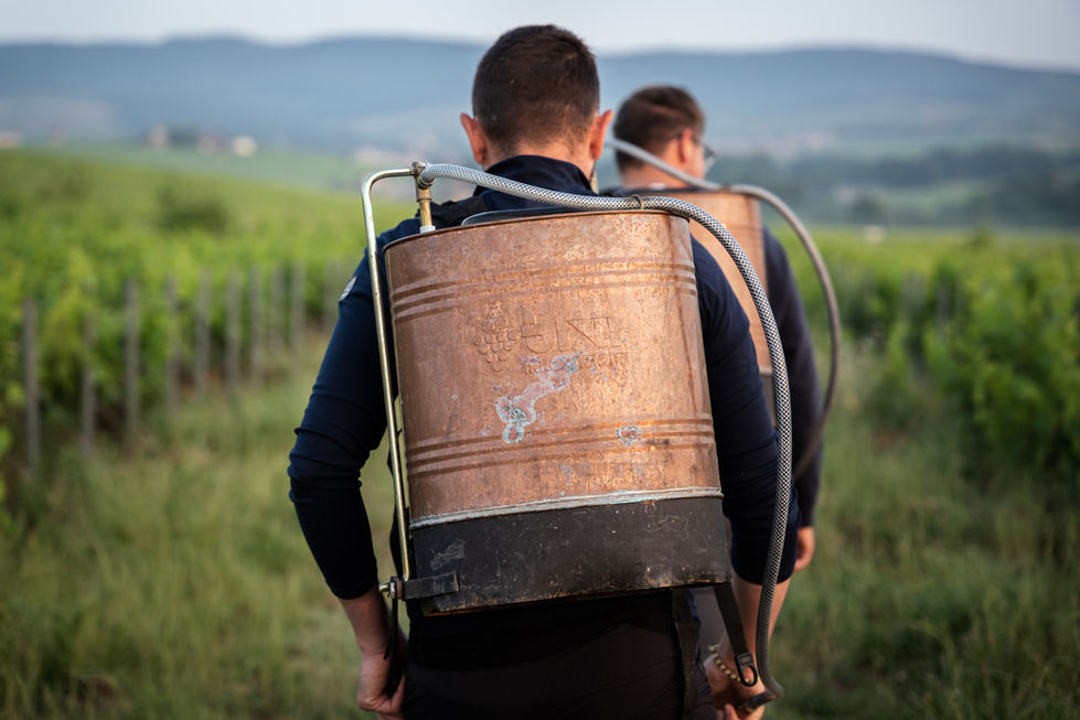 Biodynamie