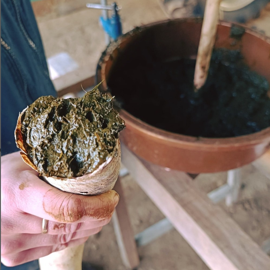 Biodynamie