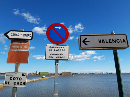 Traffic indicators and signs about the rice harvesting campaign on a path beside flooded rice fields in the Albufera Natural Park.
